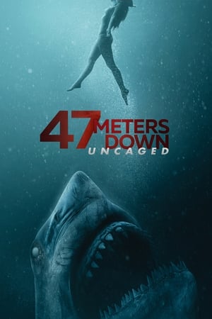 47 Meters Down: Uncaged (2019) Hindi Dual Audio 480p BluRay 400MB 47 Meters Down: Uncaged (2019) Hindi Dual Audio 480p BluRay 400MB