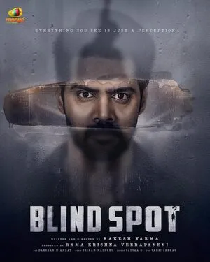 Blind Spot 2025 Hindi Dual Audio WEB-DL 720p - 480p - 1080p Blind Spot 2025 Hindi Dual Audio WEB-DL 720p - 480p - 1080p