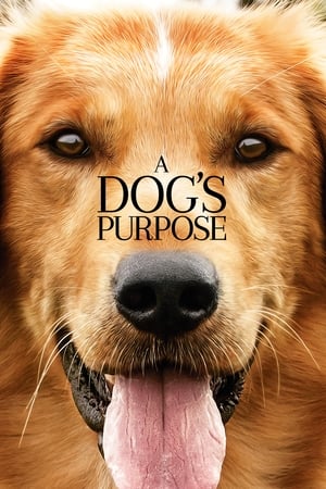 A Dog's Purpose (2017) Full Movie HDCAM 850MB A Dog's Purpose (2017) Full Movie HDCAM 850MB