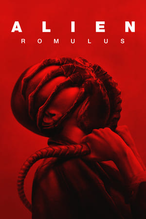 Alien: Romulus 2024 Hindi (Org) Dual Audio Web-DL 1080p – 720p – 480p Alien: Romulus 2024 Hindi (Org) Dual Audio Web-DL 1080p – 720p – 480p