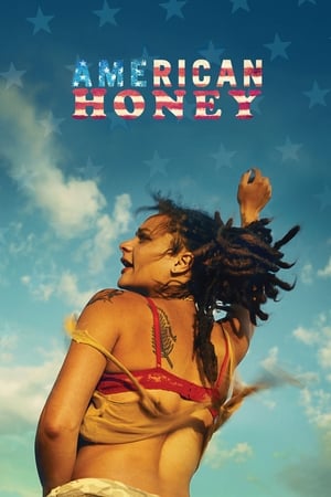 American Honey (2016) Hindi Dual Audio 480p BluRay 500MB American Honey (2016) Hindi Dual Audio 480p BluRay 500MB
