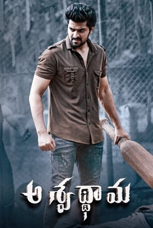 Aswathama 2020 (Hindi – Telugu) Dual Audio 480p UnCut HDRip 340MB Aswathama 2020 (Hindi – Telugu) Dual Audio 480p UnCut HDRip 340MB