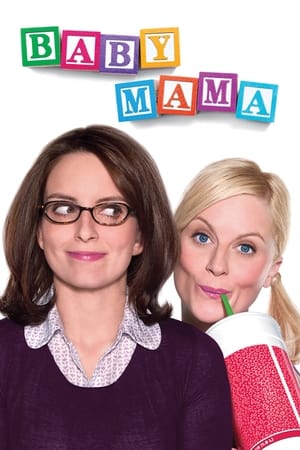 Baby Mama (2008) Hindi Dual Audio 480p BluRay 300MB Baby Mama (2008) Hindi Dual Audio 480p BluRay 300MB