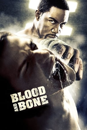 Blood and Bone (2009) Hindi Dual Audio 480p BluRay 300MB Blood and Bone (2009) Hindi Dual Audio 480p BluRay 300MB