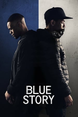 Blue Story (2019) Hindi Dual Audio HDRip 720p – 480p Blue Story (2019) Hindi Dual Audio HDRip 720p – 480p