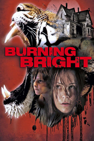 Burning Bright (2010) Hindi Dual Audio 480p BluRay 300MB Burning Bright (2010) Hindi Dual Audio 480p BluRay 300MB