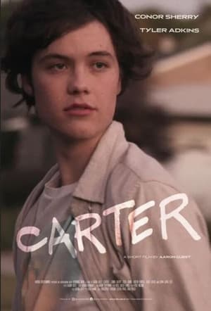 Carter (2022) Hindi Dual Audio HDRip 720p – 480p Carter (2022) Hindi Dual Audio HDRip 720p – 480p