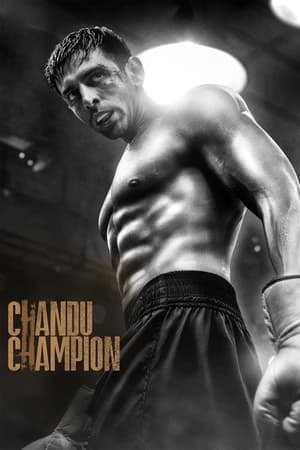Chandu Champion 2024 Hindi CAMRip 1080p Chandu Champion 2024 Hindi CAMRip 1080p