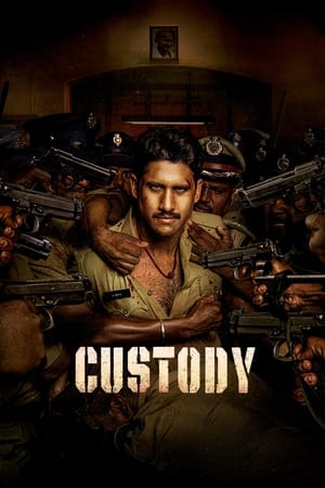 Custody 2023 Hindi (HQ-Dub) Dual Audio HDRip 720p – 480p Custody 2023 Hindi (HQ-Dub) Dual Audio HDRip 720p – 480p