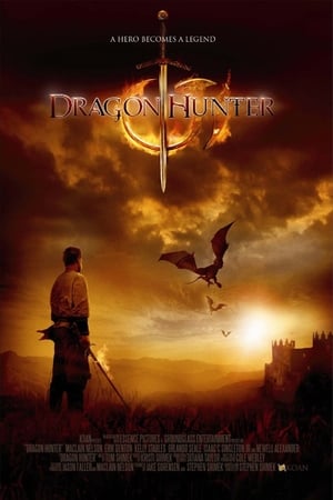 Dragon Hunter (2009) Hindi Dual Audio 480p BluRay 300MB Dragon Hunter (2009) Hindi Dual Audio 480p BluRay 300MB