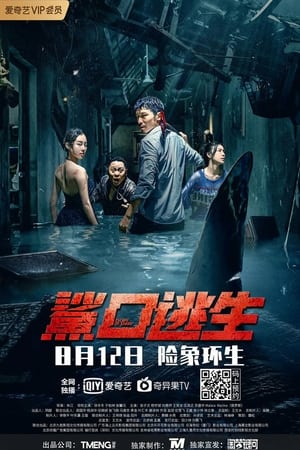 Escape of Shark (2021) Hindi Dual Audio HDRip 720p – 480p Escape of Shark (2021) Hindi Dual Audio HDRip 720p – 480p
