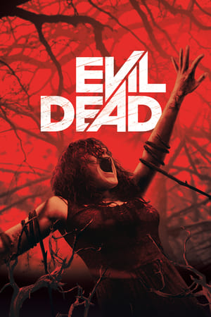 Evil Dead 2013 Hindi Dual Audio 480p BluRay 300MB Evil Dead 2013 Hindi Dual Audio 480p BluRay 300MB