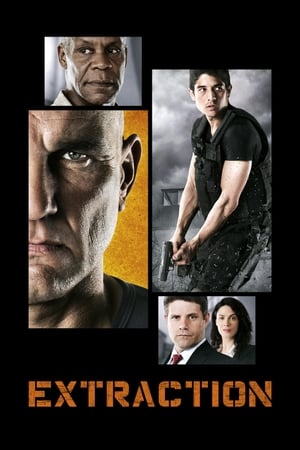 Extraction 2013 Hindi Dual Audio 480p WebRip 330MB Extraction 2013 Hindi Dual Audio 480p WebRip 330MB