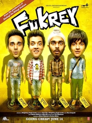 Fukrey (2013) Full Movie Bluray Download - 1GB Fukrey (2013) Full Movie Bluray Download - 1GB