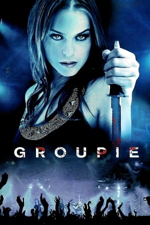 Groupie (2010) Hindi Dual Audio 480p BluRay 300MB Groupie (2010) Hindi Dual Audio 480p BluRay 300MB