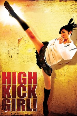 High Kick Girl (2009) 100mb Hindi Dual Audio movie Hevc BRRip Download High Kick Girl (2009) 100mb Hindi Dual Audio movie Hevc BRRip Download