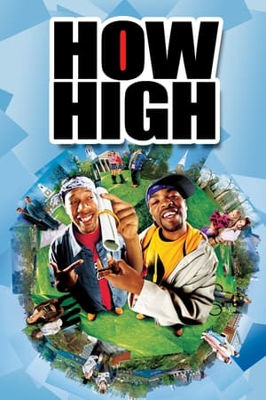How High (2001) Hindi Dual Audio 480p WebRip 300MB How High (2001) Hindi Dual Audio 480p WebRip 300MB