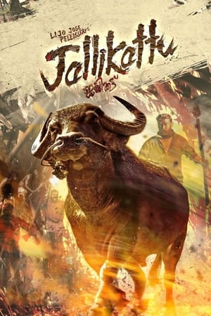Jallikattu (2019) (Hindi – Malayalam) Dual Audio UnCut HDRip 720p – 480p Jallikattu (2019) (Hindi – Malayalam) Dual Audio UnCut HDRip 720p – 480p