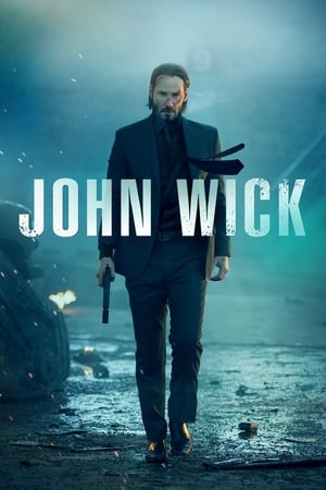 John wick 2014 100mb Hindi Dual Audio movie Hevc BRRip Download John wick 2014 100mb Hindi Dual Audio movie Hevc BRRip Download