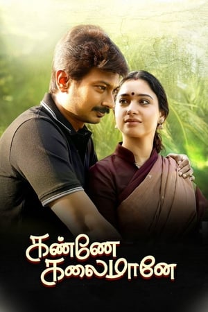 Kanne Kalaimaane 2019 (Hindi - Tamil) Dual Audio 480p UnCut HDRip 450MB Kanne Kalaimaane 2019 (Hindi - Tamil) Dual Audio 480p UnCut HDRip 450MB