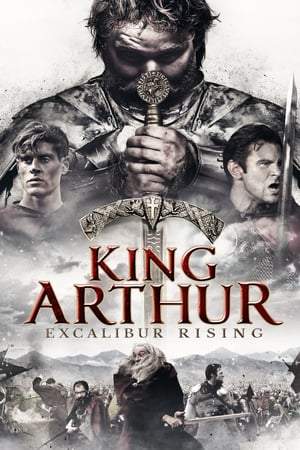 King Arthur: Excalibur Rising 2017 Hindi Dual Audio HDRip 720p – 480p King Arthur: Excalibur Rising 2017 Hindi Dual Audio HDRip 720p – 480p