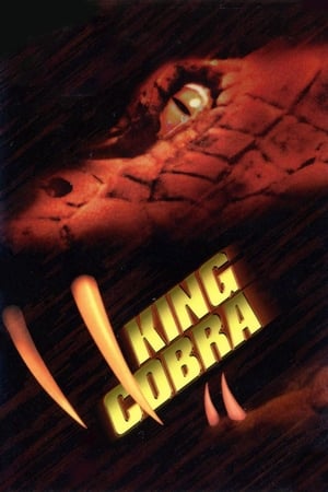 King Cobra 1999 Hindi Dual Audio 480p Web-DL 300MB King Cobra 1999 Hindi Dual Audio 480p Web-DL 300MB