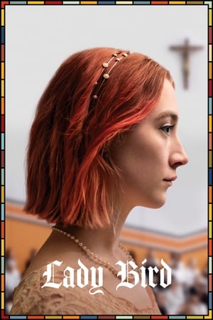 Lady Bird 2017 Hindi Dual Audio 480p BluRay 300MB Lady Bird 2017 Hindi Dual Audio 480p BluRay 300MB