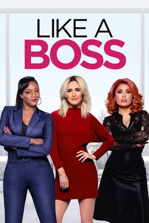 Like a Boss (2020) Hindi Dual Audio 480p Web-DL 300MB Like a Boss (2020) Hindi Dual Audio 480p Web-DL 300MB