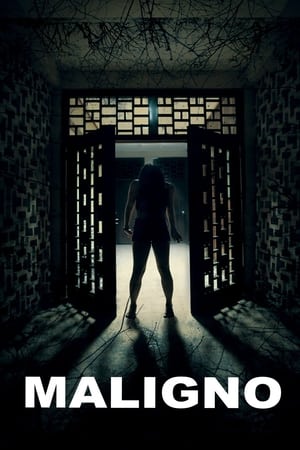 Maligno (2016) Hindi Dual Audio 480p Web-DL 300MB Maligno (2016) Hindi Dual Audio 480p Web-DL 300MB