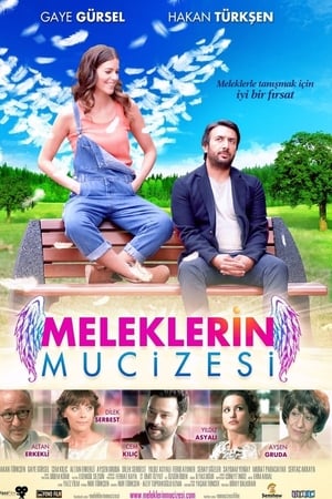 Meleklerin mucizesi (2014) Hindi Dual Audio 480p Web-DL 280MB Meleklerin mucizesi (2014) Hindi Dual Audio 480p Web-DL 280MB