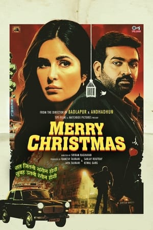 Merry Christmas 2024 Hindi HDTS 720p – 480p Merry Christmas 2024 Hindi HDTS 720p – 480p