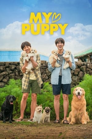 My Heart Puppy (2022) Hindi Dual Audio HDRip 720p – 480p My Heart Puppy (2022) Hindi Dual Audio HDRip 720p – 480p