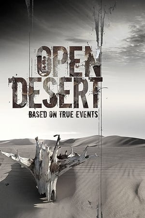 Open Desert (2013) Hindi Dual Audio HDRip 720p – 480p Open Desert (2013) Hindi Dual Audio HDRip 720p – 480p
