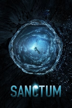 Sanctum (2011) Hindi Dual Audio 480p BluRay 400MB Sanctum (2011) Hindi Dual Audio 480p BluRay 400MB