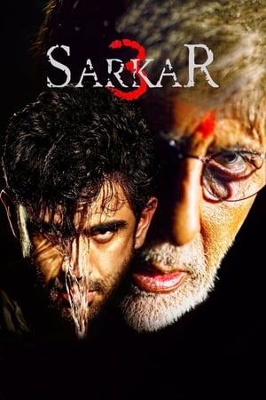 Sarkar 3 2017 350MB Full Movie 480p DVDRip Download Sarkar 3 2017 350MB Full Movie 480p DVDRip Download