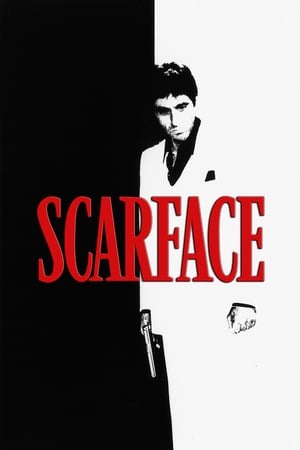 Scarface (1983) Dual Audio Hindi 480p BluRay 500MB Scarface (1983) Dual Audio Hindi 480p BluRay 500MB
