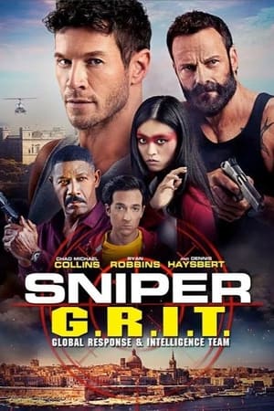 Sniper GRIT Global Response and Intelligence Team 2023 Hindi Dual Audio HDRip 720p – 480p Sniper GRIT Global Response and Intelligence Team 2023 Hindi Dual Audio HDRip 720p – 480p