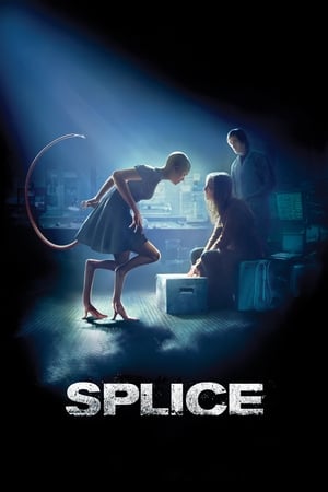 Splice 2009 Hindi Dual Audio 480p BluRay 330MB Splice 2009 Hindi Dual Audio 480p BluRay 330MB