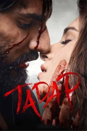 Tadap (2021) Hindi Movie Web-DL 720p – 480p Tadap (2021) Hindi Movie Web-DL 720p – 480p