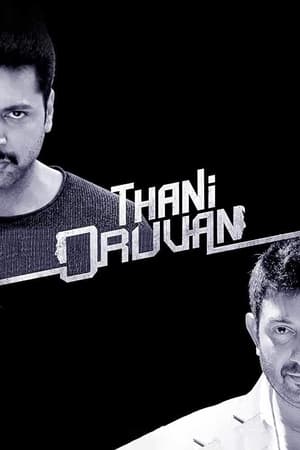 Thani Oruvan 2015 500MB Hindi - Tamil Dubbed HDRip Download Thani Oruvan 2015 500MB Hindi - Tamil Dubbed HDRip Download