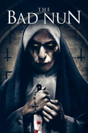 The Bad Nun 2018 Hindi Dual Audio 480p HDRip 300MB The Bad Nun 2018 Hindi Dual Audio 480p HDRip 300MB