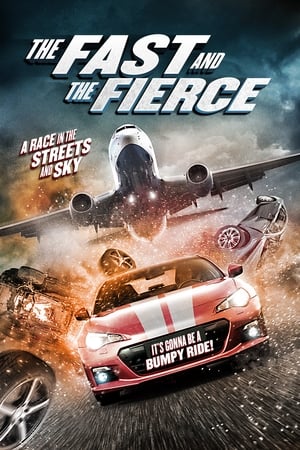 The Fast and the Fierce 2017 Hindi Dual Audio 480p BluRay 300MB The Fast and the Fierce 2017 Hindi Dual Audio 480p BluRay 300MB