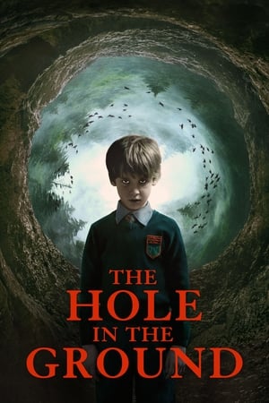 The Hole in the Ground 2019 Hindi Dual Audio 480p BluRay 300MB The Hole in the Ground 2019 Hindi Dual Audio 480p BluRay 300MB