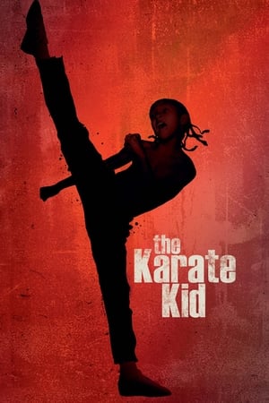 The Karate Kid 2010 Hindi Dubbed 300MB 480p Full Movie The Karate Kid 2010 Hindi Dubbed 300MB 480p Full Movie