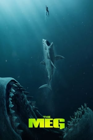 The Meg (2018) Hindi (Org) Dual Audio 480p BluRay 350MB The Meg (2018) Hindi (Org) Dual Audio 480p BluRay 350MB