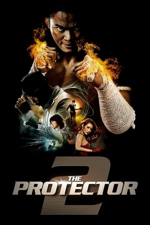 The Protector 2 (2013) 100mb Hindi Dual Audio movie Hevc BRRip Download The Protector 2 (2013) 100mb Hindi Dual Audio movie Hevc BRRip Download