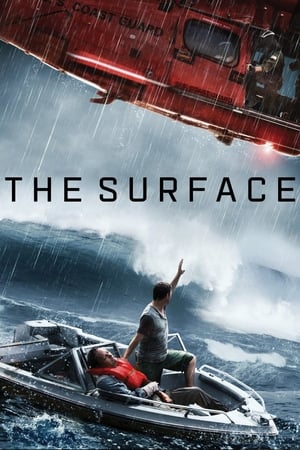 The Surface (2014) Hindi Dual Audio 480p Web-DL 300MB The Surface (2014) Hindi Dual Audio 480p Web-DL 300MB
