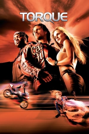 Torque 2004 300MB Hindi Dual Audio BRRip Download Torque 2004 300MB Hindi Dual Audio BRRip Download