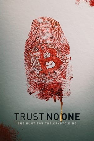 Trust No One: The Hunt for the Crypto King (2022) Hindi Dual Audio HDRip 720p – 480p Trust No One: The Hunt for the Crypto King (2022) Hindi Dual Audio HDRip 720p – 480p
