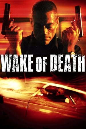 Wake of Death 2004 Hindi Dual Audio 480p BluRay 300MB Wake of Death 2004 Hindi Dual Audio 480p BluRay 300MB